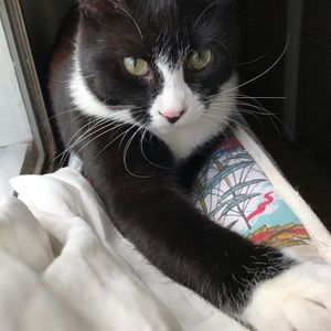 Meet your Posher, Anna